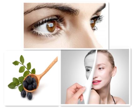 bilberry fruit Extract