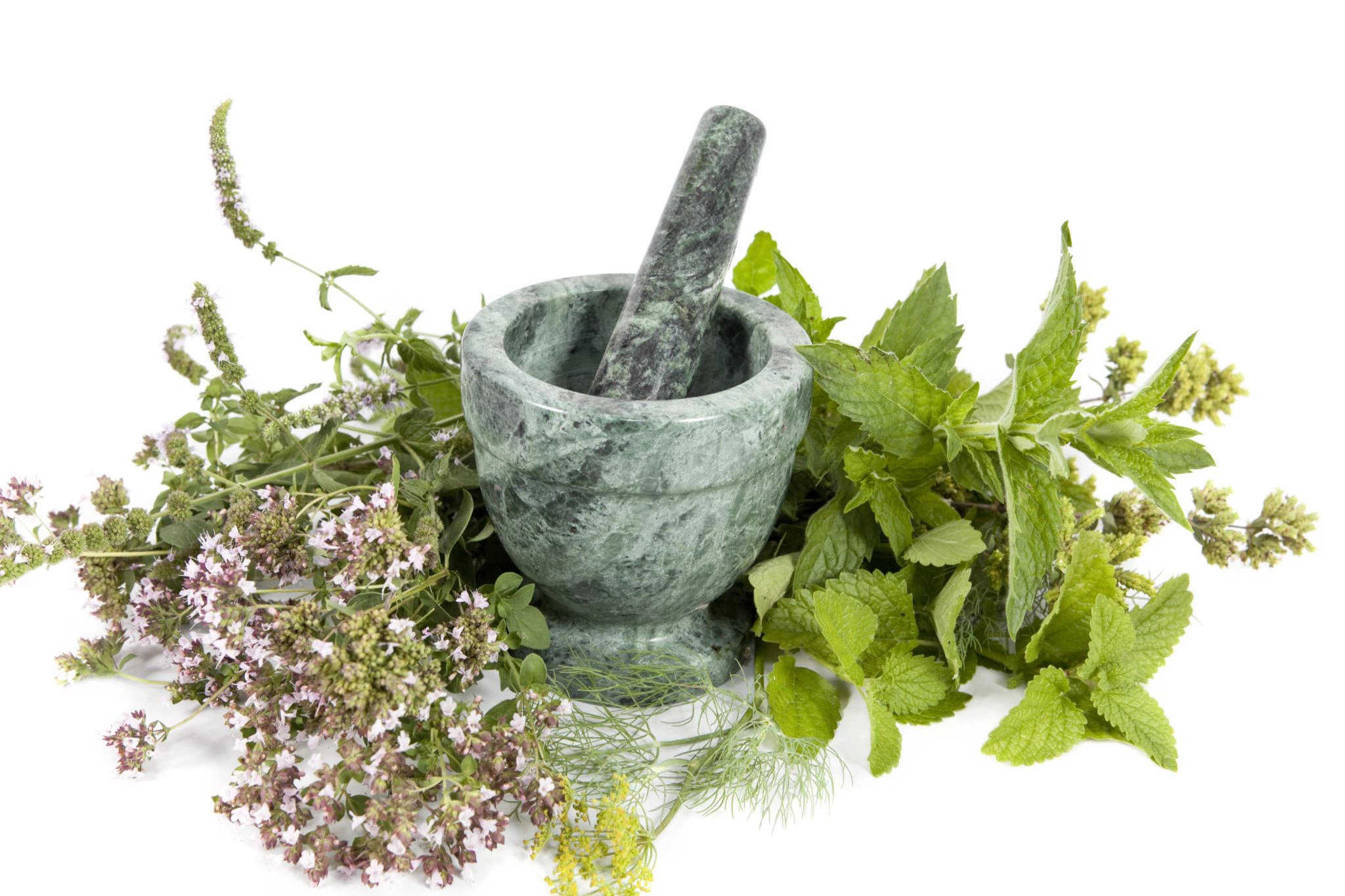 Rhodiola rosea herbal extract