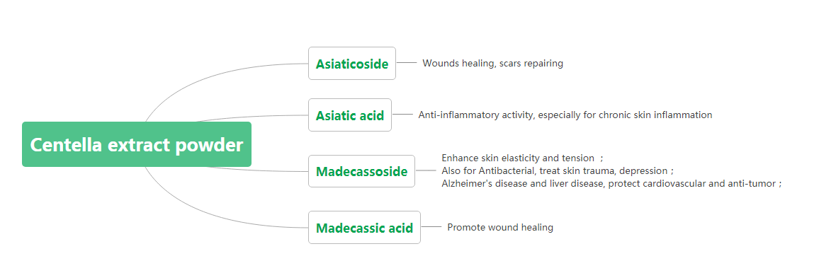 gotu kola extract composition gotu kola extract composition