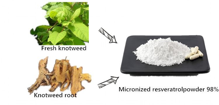 plant-powder plant-powder