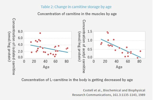 l carnitine powder.png