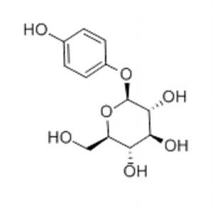 202110141720152708816