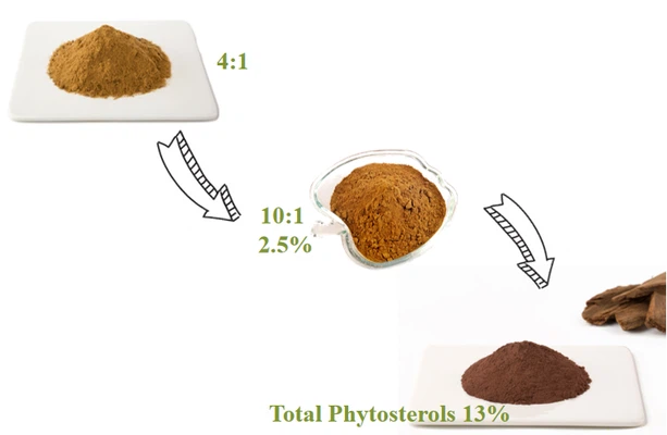 product-700-558 product-700-558