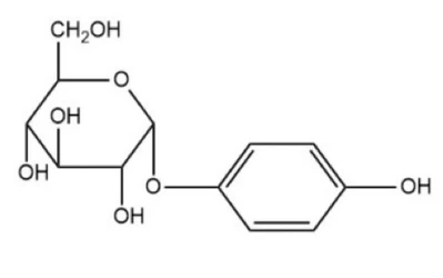β arbutin β arbutin