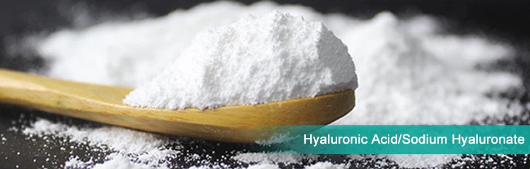 product-1062-395 touing 1