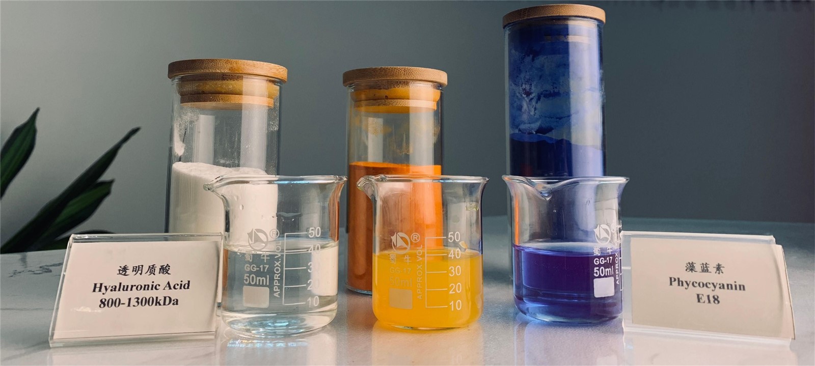 product-1600-719 1 (1) (1)