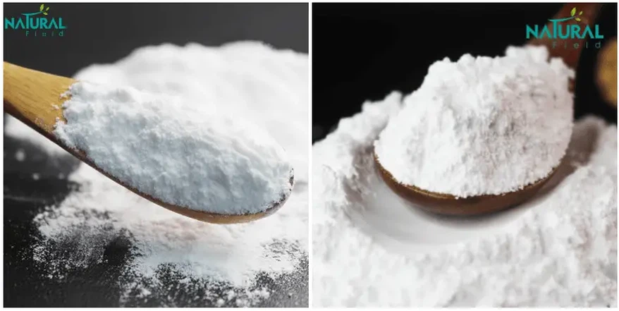 Creatine Anhydrous Creatine Anhydrous