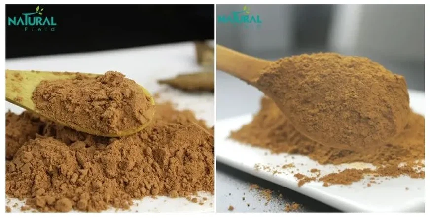 Shilajit Extract Powder Shilajit Extract Powder