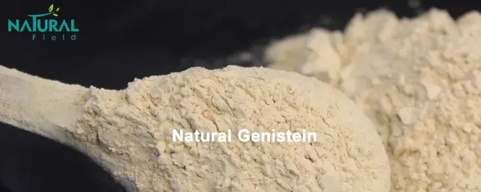Genistein Genistein