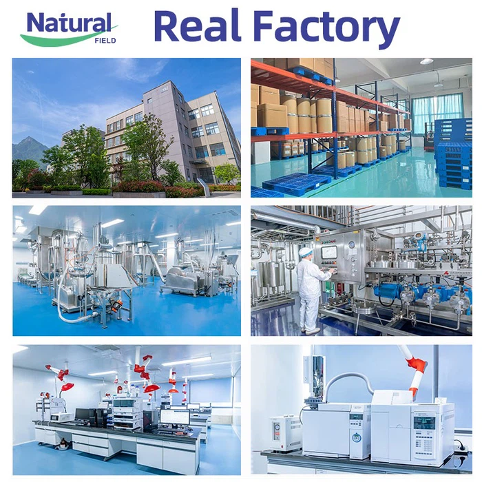 About Natural Field About Natural Field