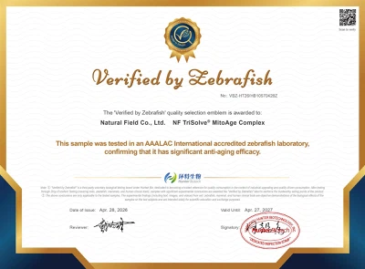 Anti-Aging Efficacy Testing Certificate Anti-Aging Efficacy Testing Certificate