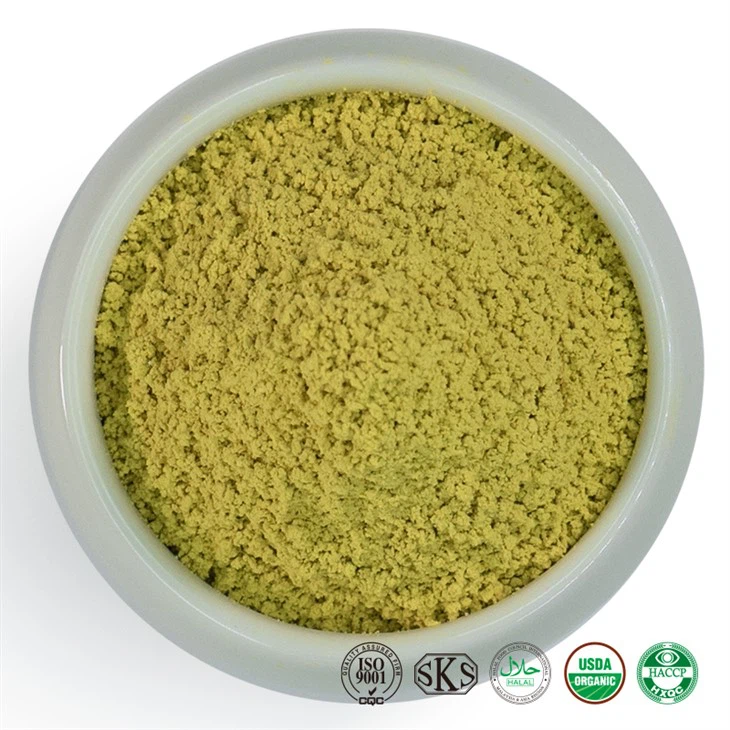 Fisetin Bulk Powder Fisetin Bulk Powder