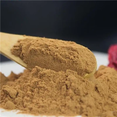 Phellinus Linteus Extract Powder