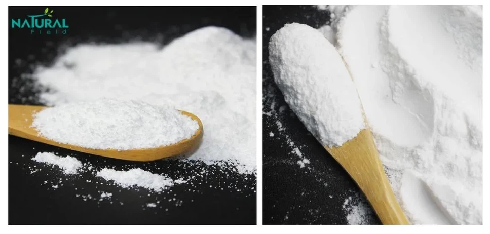 Papaya Extract powder Papaya Extract powder