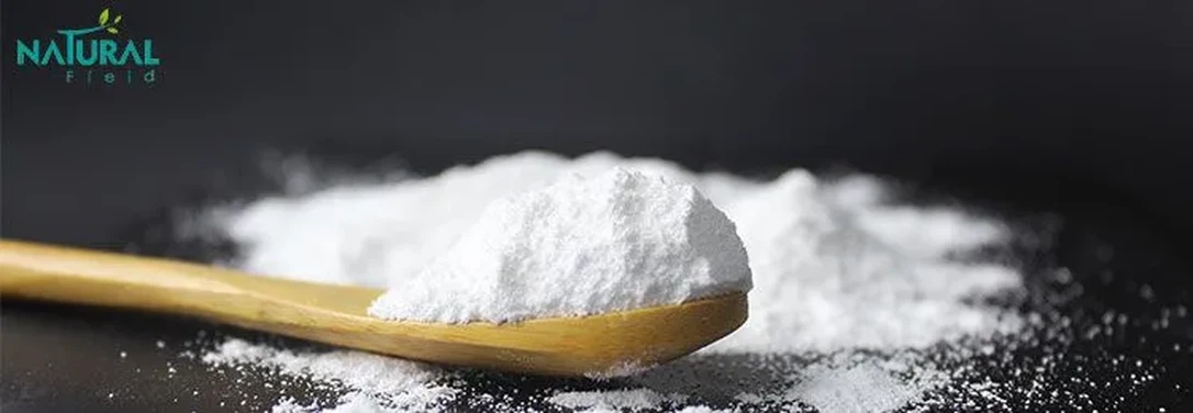 Ecdysone Powder Ecdysone Powder