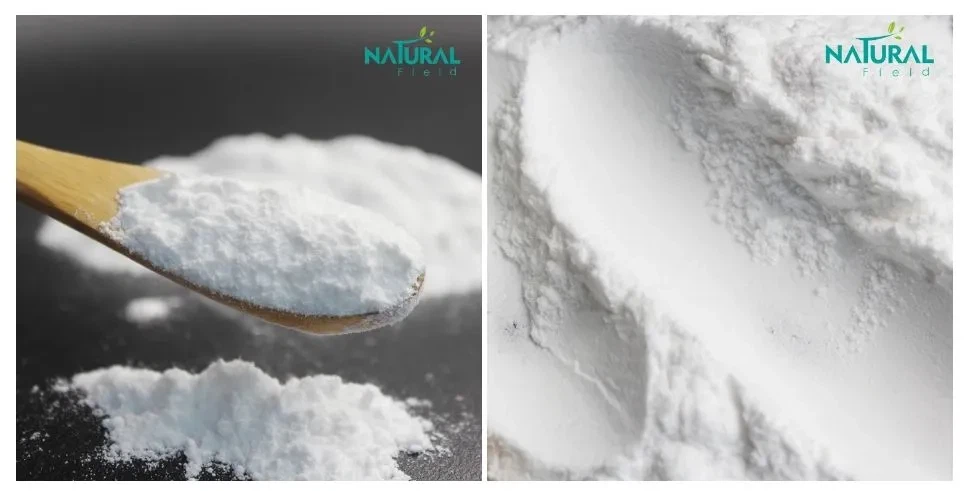 Probiotic Powder Probiotic Powder