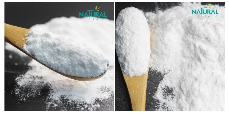 Probiotic Powder Probiotic Powder