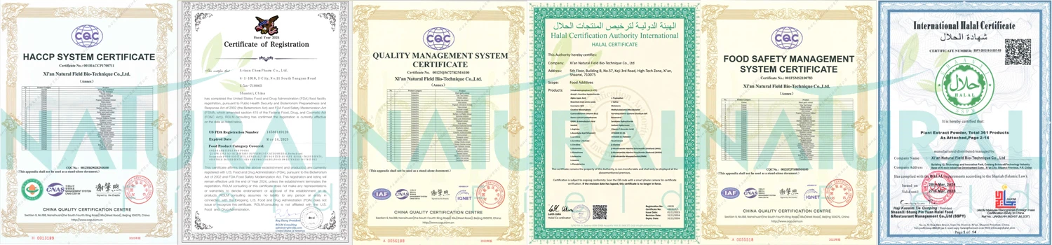 certification certification