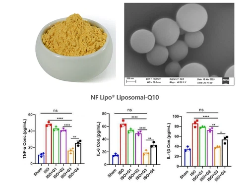 Liposomal Coenzyme Q10 Liposomal Coenzyme Q10