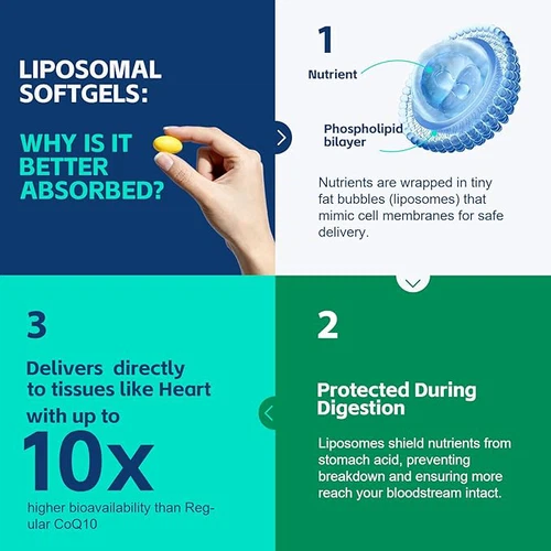 Liposomal CoQ10 Benefits Liposomal CoQ10 Benefits