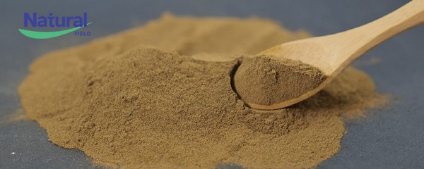 Ashwagandha extract powder Ashwagandha extract powder
