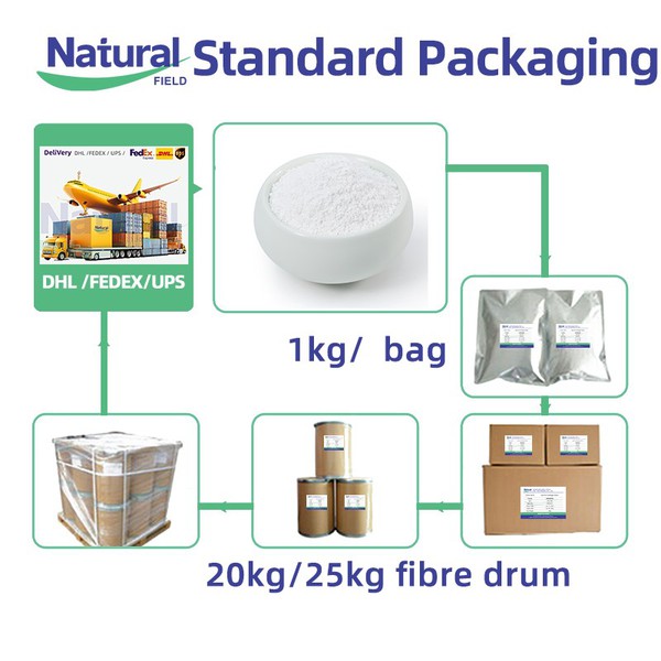 Global Reach Global Reach