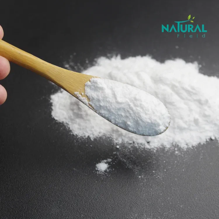 Probiotic Powder Powder