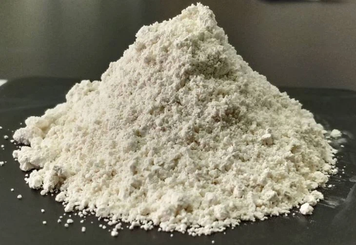 Anti Aging Supplement Polygonum Cuspidatum Extract Resveratrol Capsules 500mg