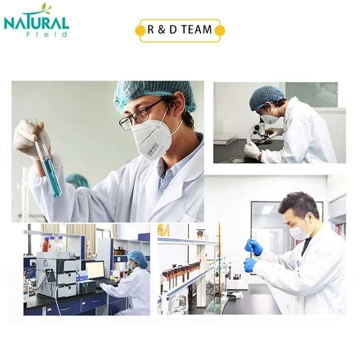 R & D Team