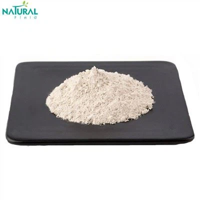 Garcinia Cambogia Extract