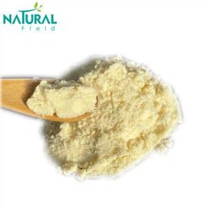 Organic Ginger Extract Powder