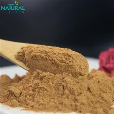 Shiitake Mushroom Powder