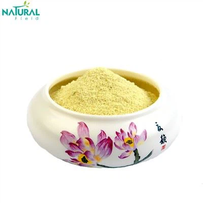 Silybin Milk Thistle Extract