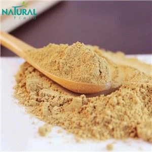 Silymarin Powder