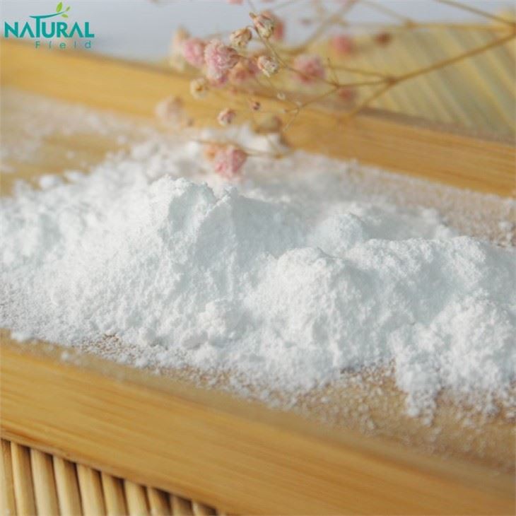 Pure Hyaluronic Acid Powder