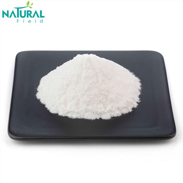 Pure Hyaluronic Acid Powder