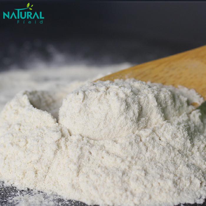 Pure Yohimbine Bark Extract Powder