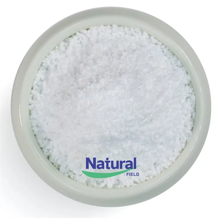 Creatine Monohydrate Powder